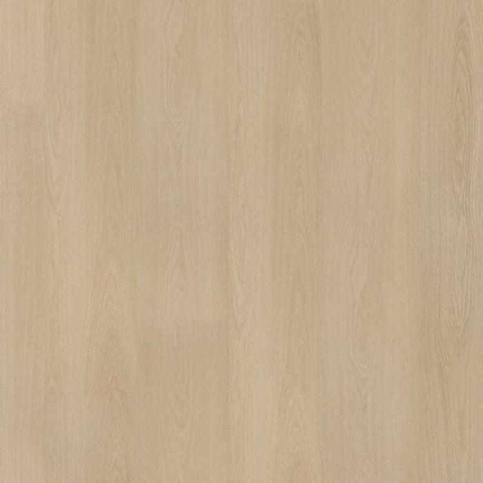 Ambiant Soleno click SRC natural