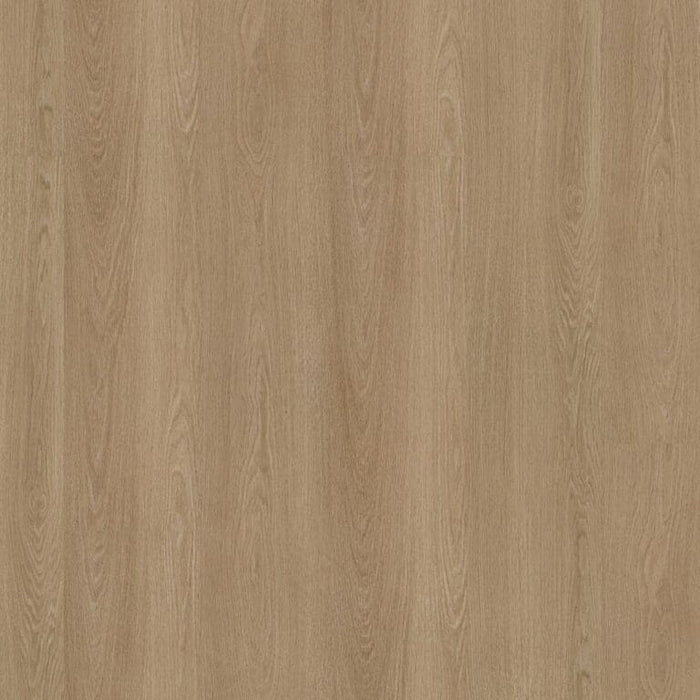 Ambiant Soleno click SRC warm oak