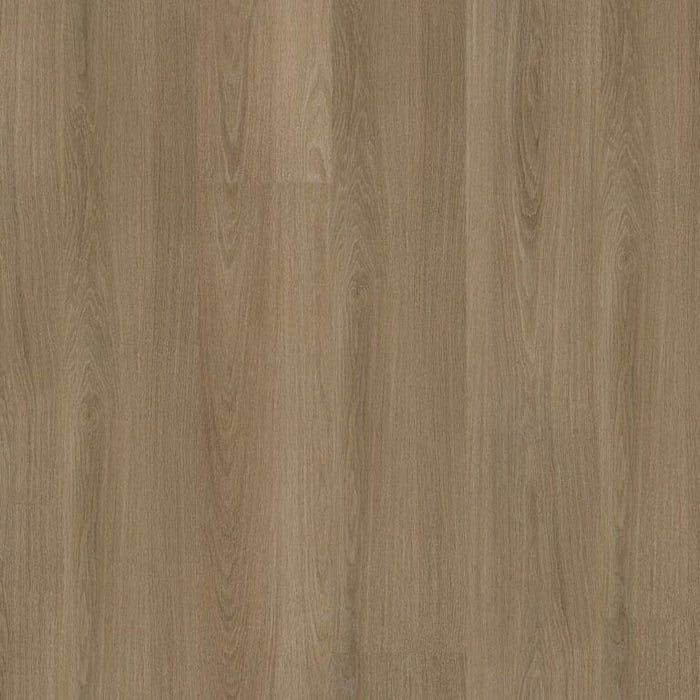 Ambiant Soleno click SRC dark oak