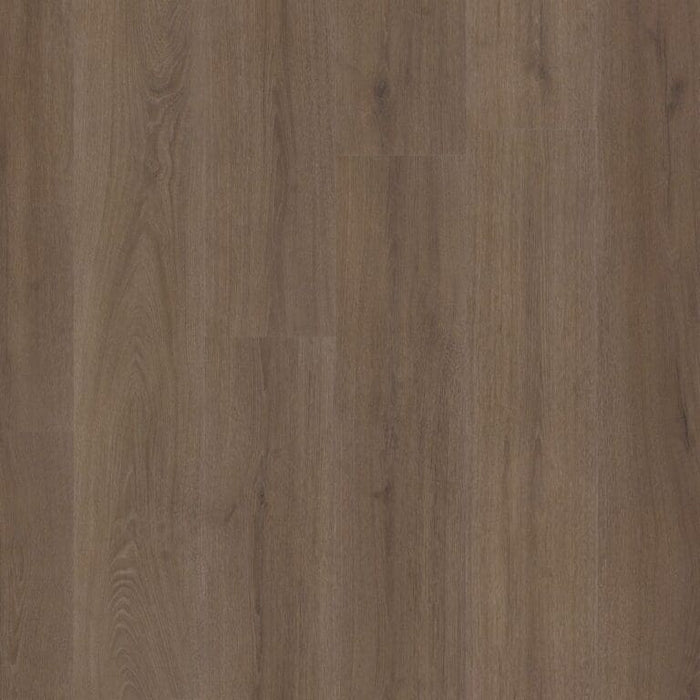 Ambiant Valento click SRC Brown