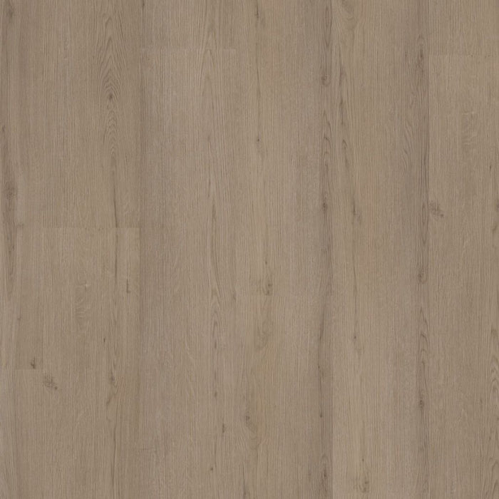 Ambiant Venera click smoky