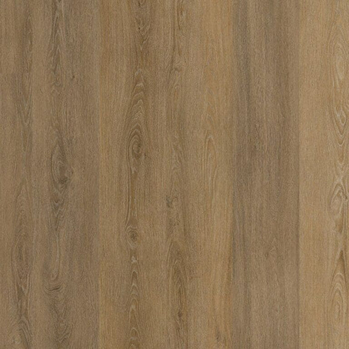 Ambiant Viranto click SRC light brown