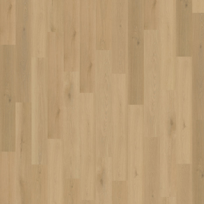Belakos - Borgo 300 Rigid Click