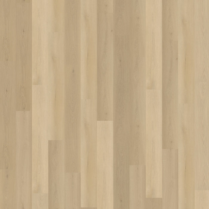 Belakos - Borgo 310 Rigid Click