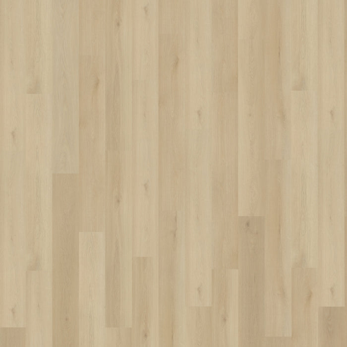 Belakos - Borgo 330 Rigid Click