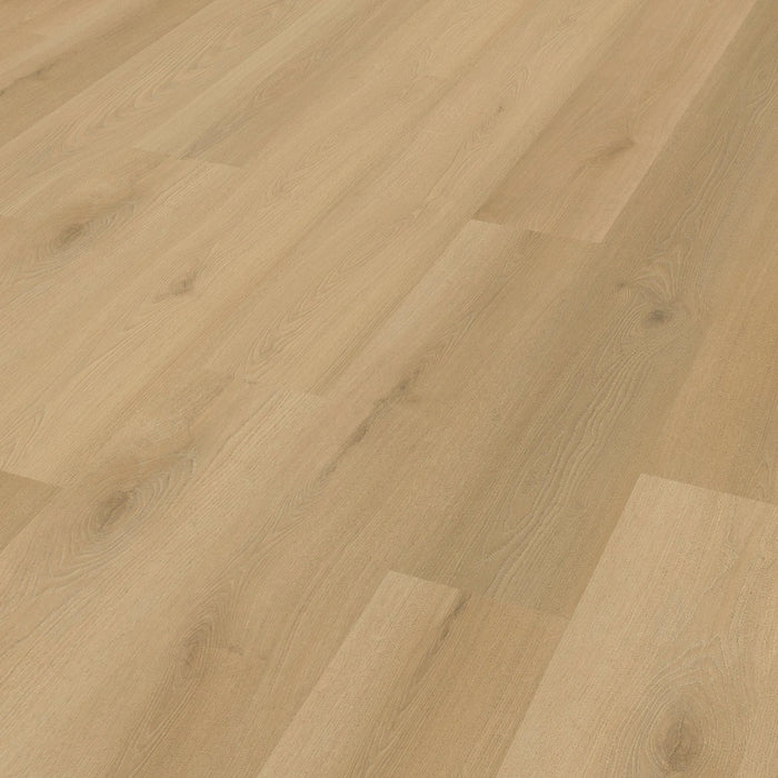 Belakos - Borgo 300 Rigid Click
