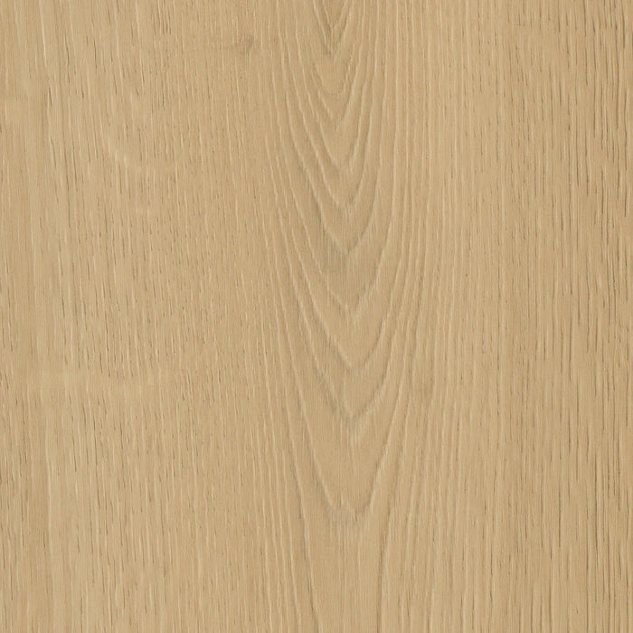Belakos - Borgo 300 Rigid Click