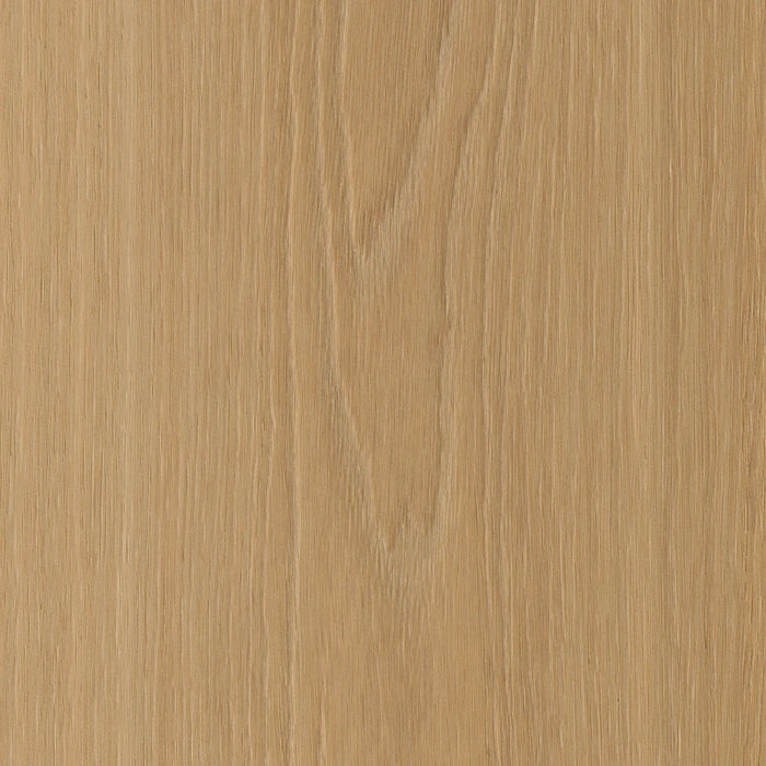 Belakos - Borgo 320 Rigid Click