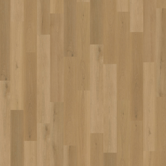 Belakos - Borgo 320 Rigid Click