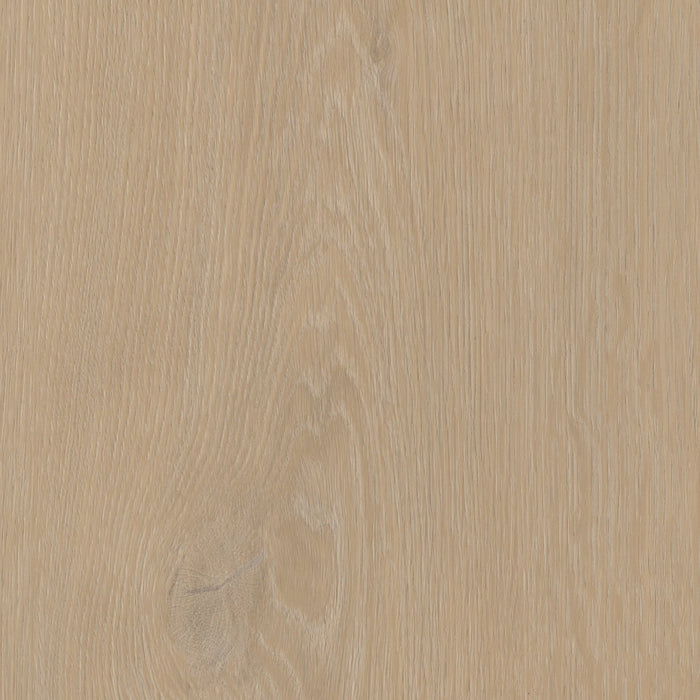 Belakos Cervo 200 - Rigid Click