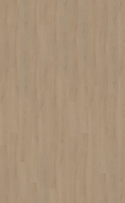 Belakos Cervo 210 - Rigid Click