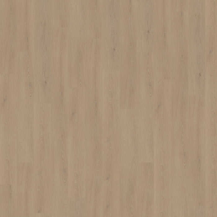 Belakos - Cervo 210 Rigid Click