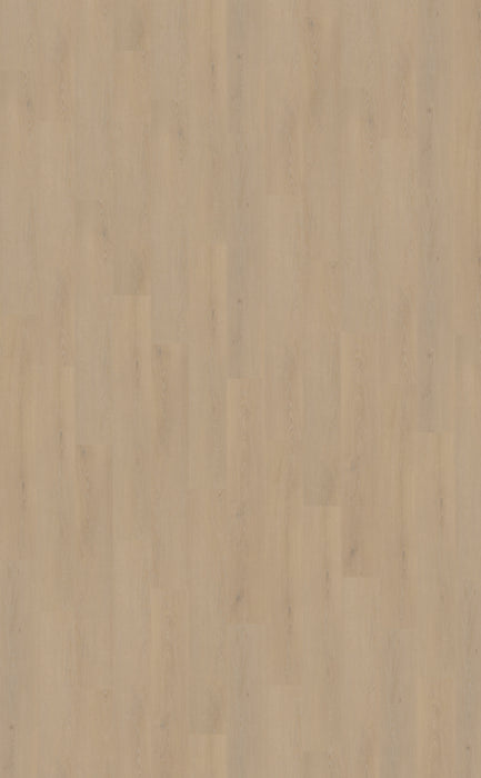 Belakos Cervo 200 - Rigid Click