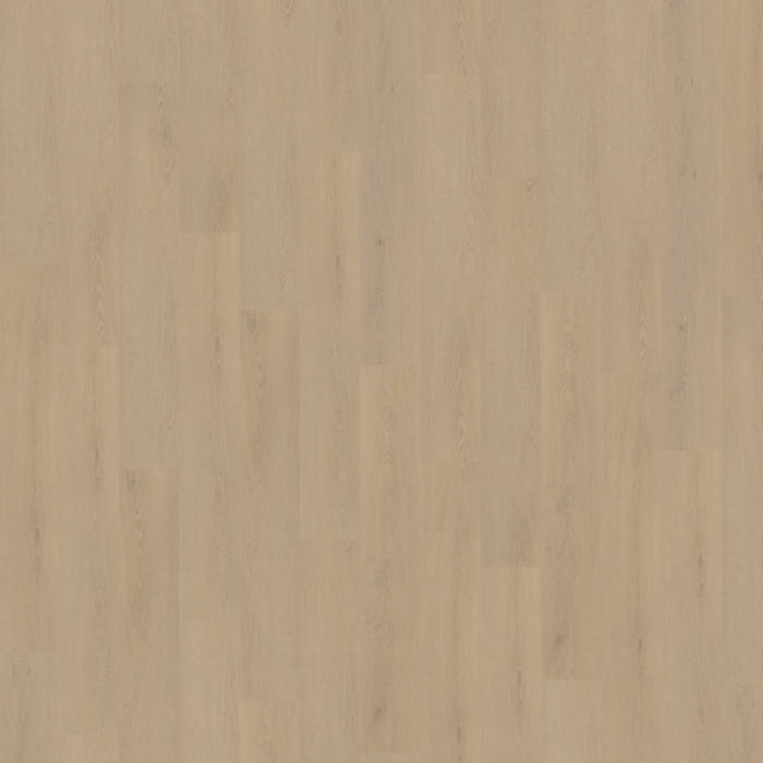 Belakos - Cervo 200 Rigid Click