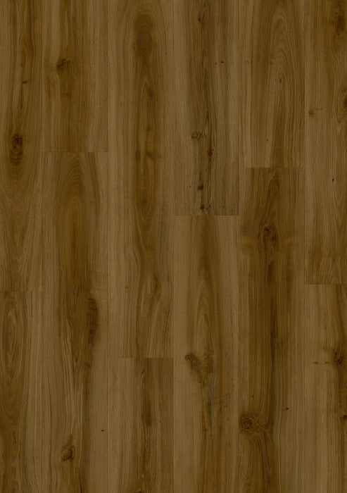 Classic Oak 24881 - Moduleo LayRed