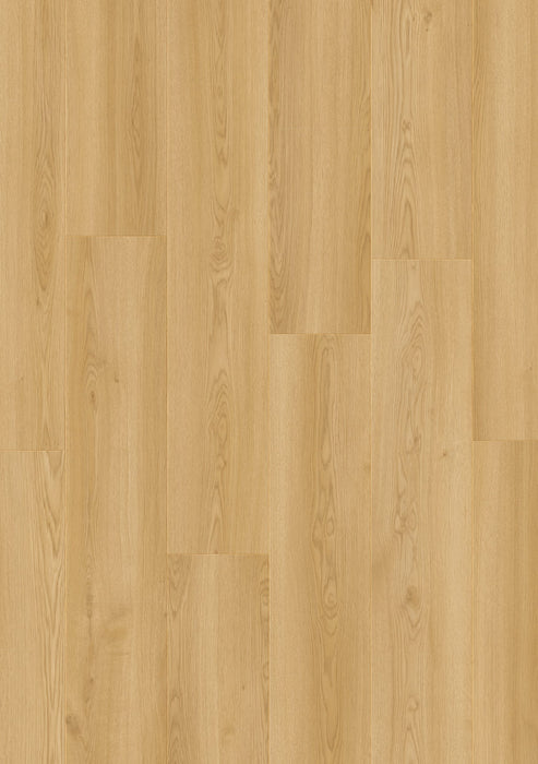 Dingle Oak 13850 - Moduleo LayRed