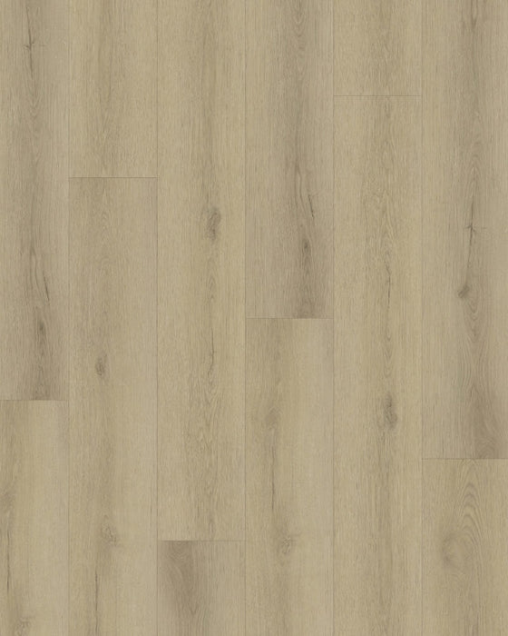 Gelasta Sierra 3000 Smoked - Rigid Click