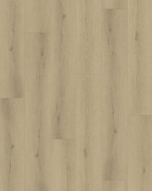 Gelasta Sierra 3002 click pvc-vloer in licht eiken houtstructuur.