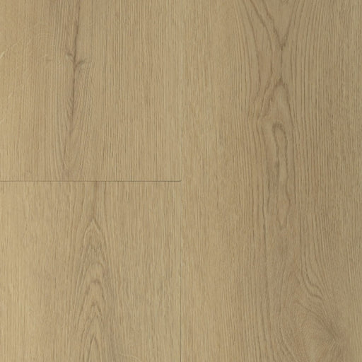 Gelasta Sierra 3203 natural - Rigid click
