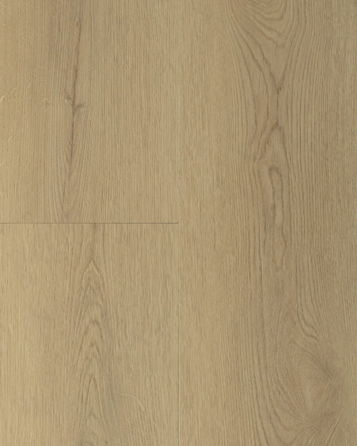 Gelasta Sierra 3203 natural - Rigid click