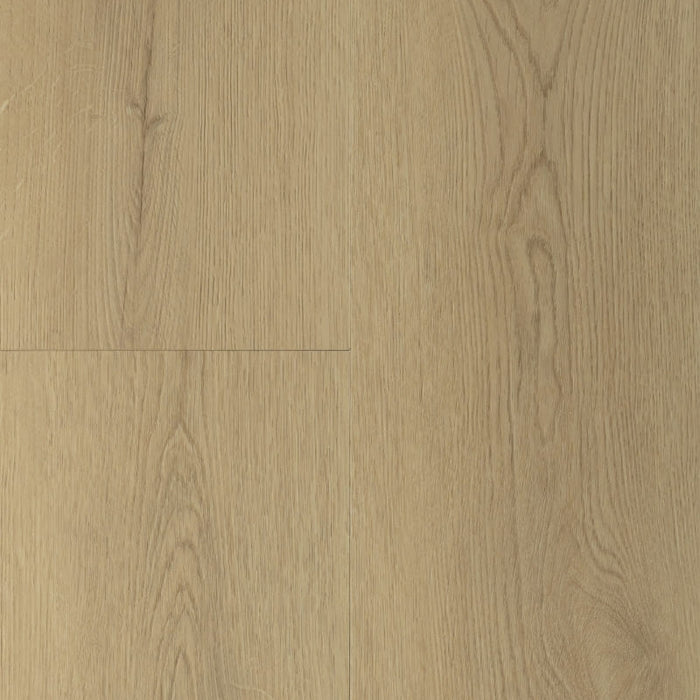 Gelasta Sierra 3203 natural - Rigid click