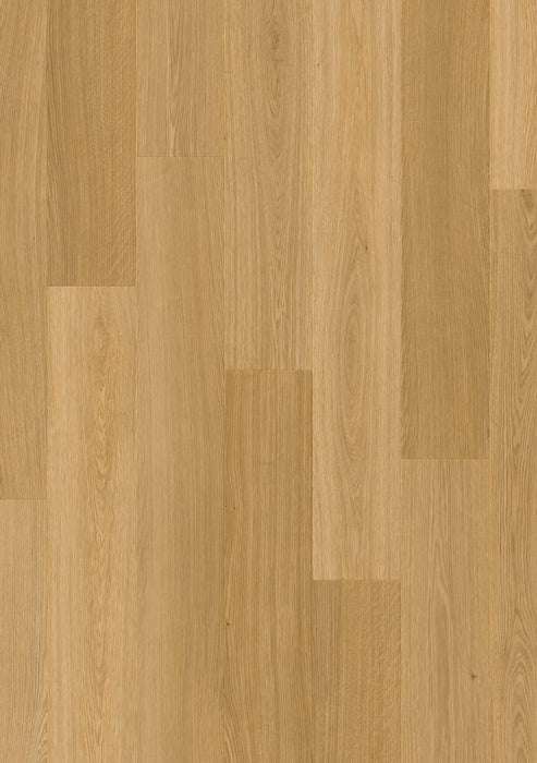 Haarlemmer Oak 64831 - Moduleo LayRed