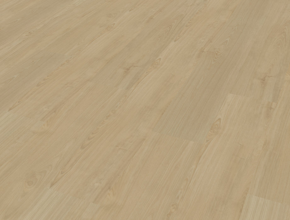 Belakos Portico 550 - Rigid Click