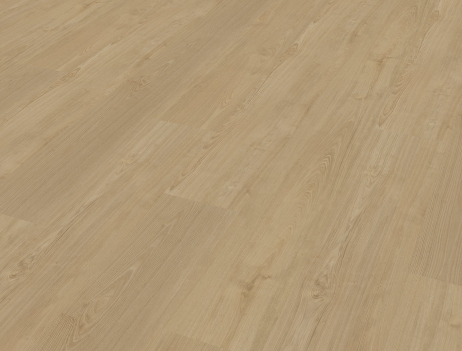 Belakos Portico 560 - Rigid Click