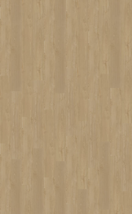 Belakos Portico 560 - Rigid Click