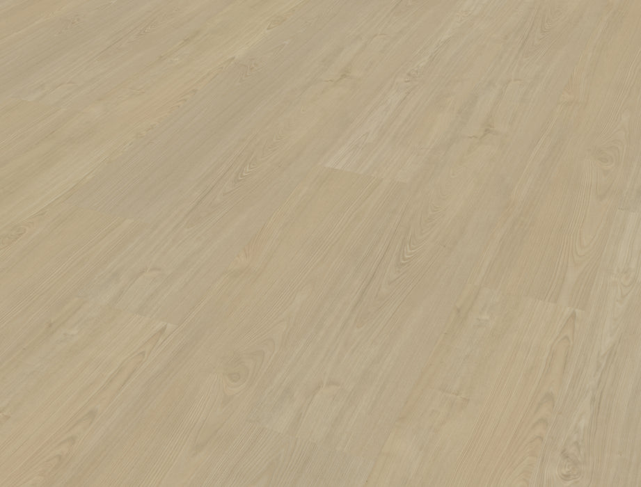 Belakos Portico 570 - Rigid Click