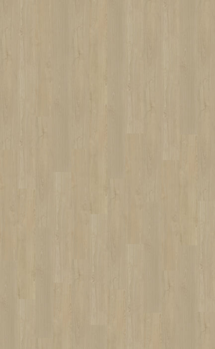 Belakos Portico 570 - Rigid Click