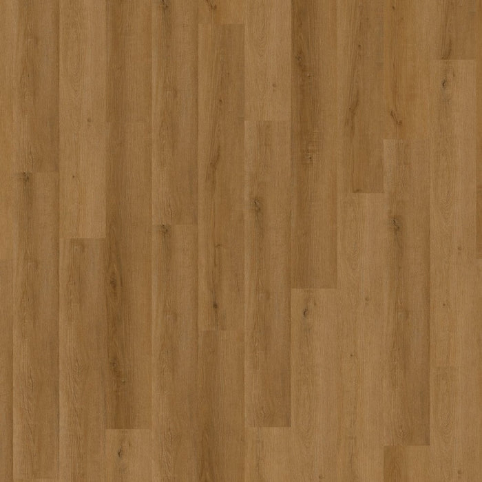 Cavalio 0,3 Corn Oak 7231 Nu €26,95/m²