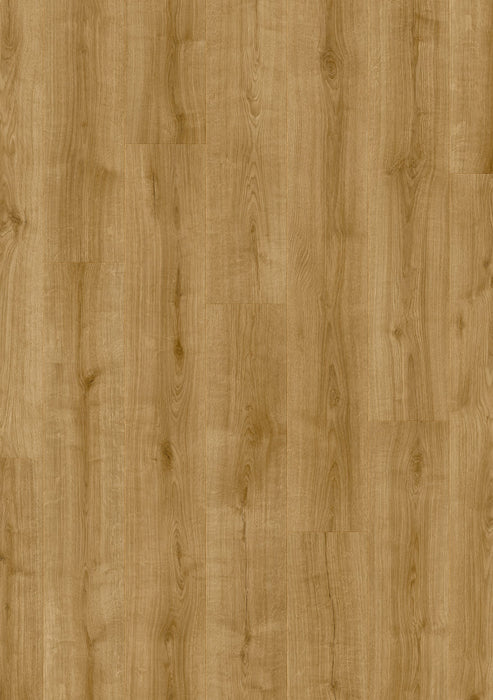 Wistman Oak 63840 - Moduleo LayRed