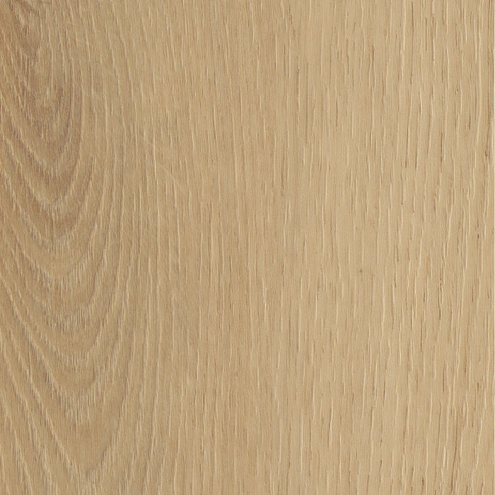 Belakos - Borgo Visgraat XL 30 Rigid Click