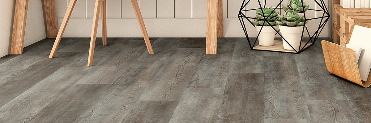 Expona Living Click | Grey Washed Pine 8119