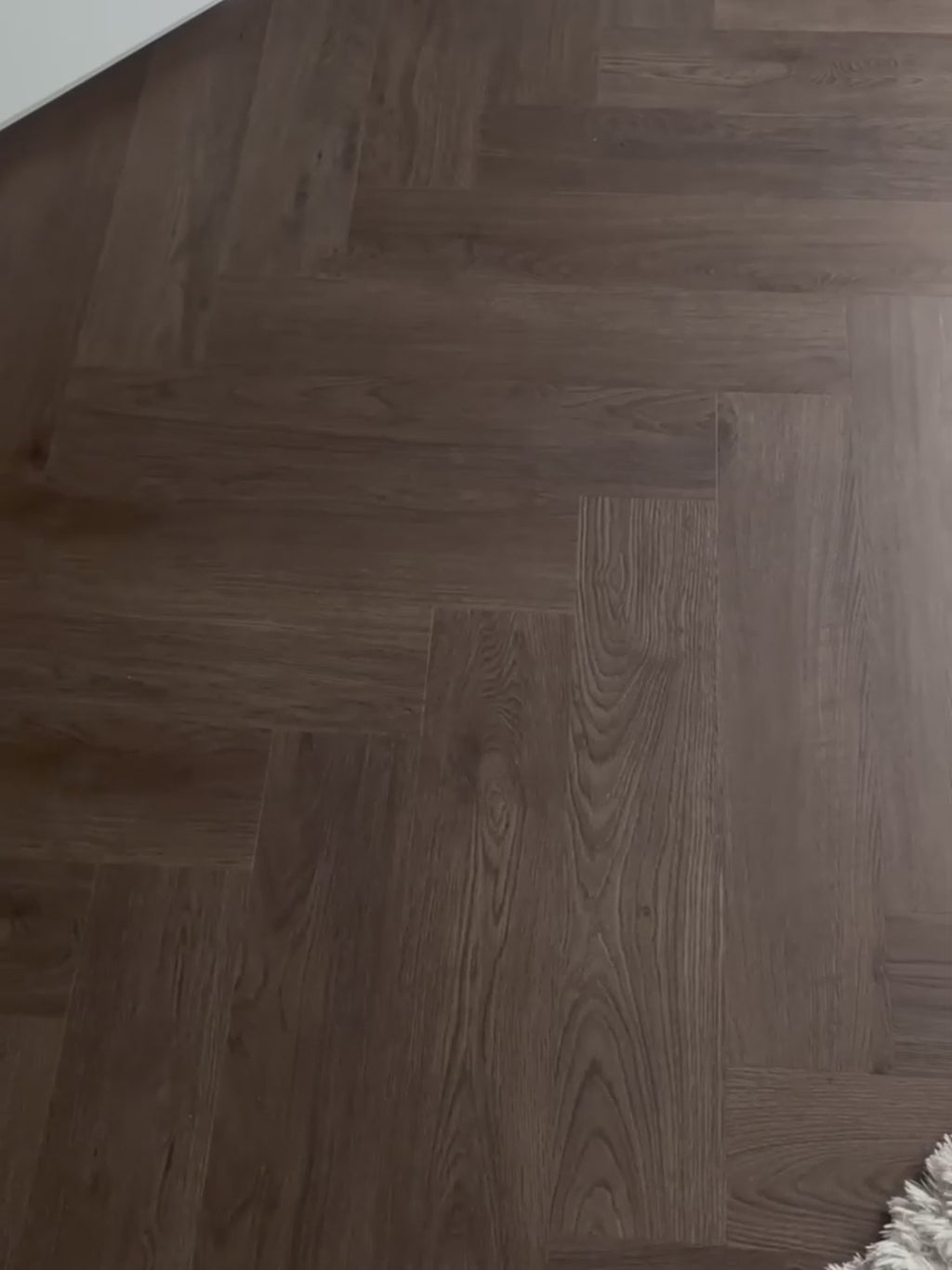 Sfeervideo van Belakos Monastro Visgraat XL 90